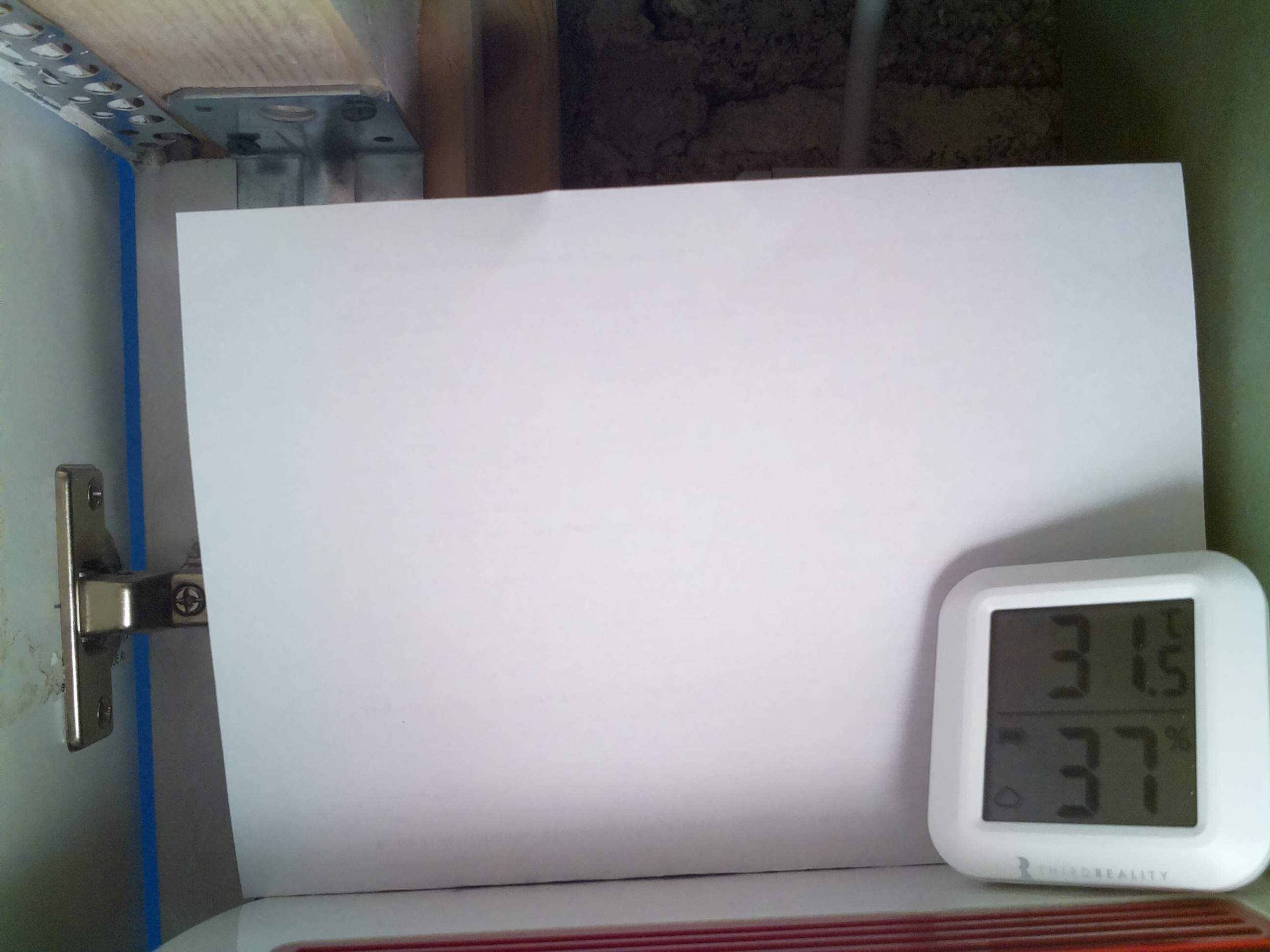 Bild vom Sauerteig