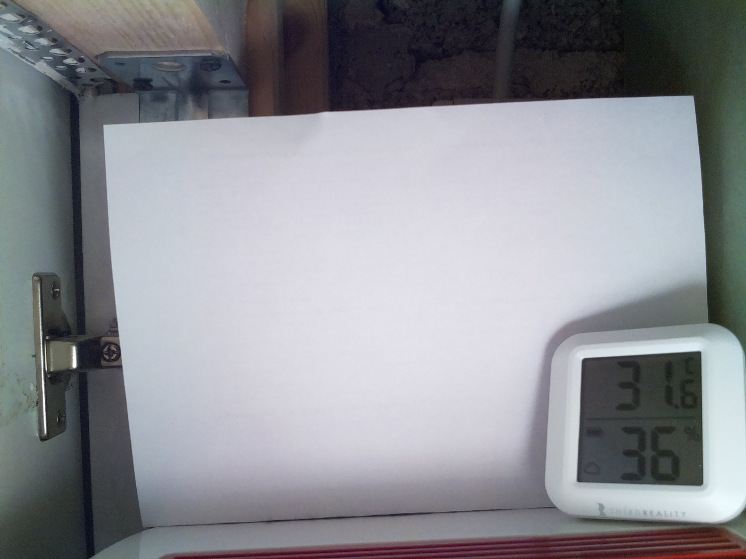 Bild vom Sauerteig