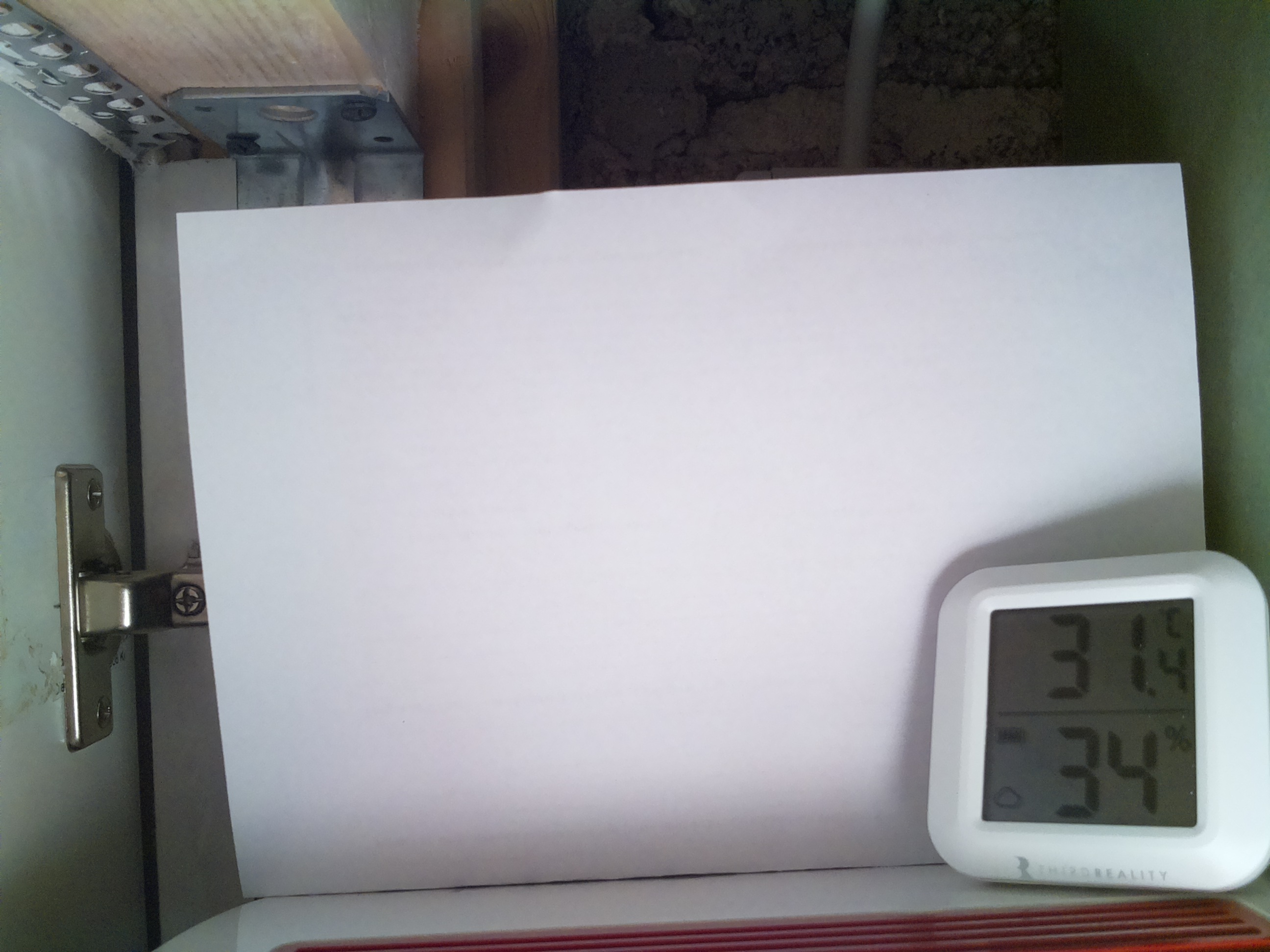 Bild vom Sauerteig